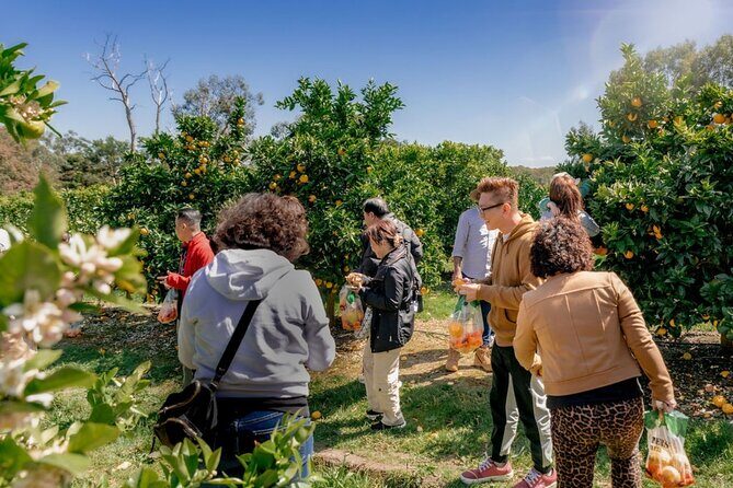 Fruit Picking & Nature Private Tour Yarra Valley & Warburton - Frequently Asked Questions