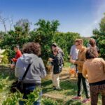 Fruit Picking & Nature Tour Yarra Valley & Warburton - Authenticity and Experience Quality
