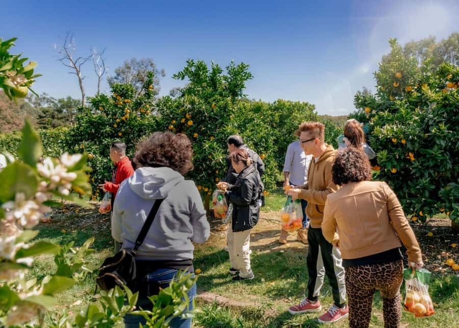 Fruit Picking & Nature Tour Yarra Valley & Warburton - Authenticity and Experience Quality