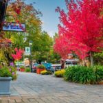 Full Day Adelaide Private Guided Car Tour - What’s Included & What’s Not