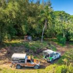 Full Day Combo 4X4 Adventure Tour & Motu FANFAN Pass with Buffet - What Does This Tour Offer in Value?