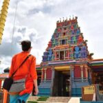 Full Day Discover Nadi Tour ( From Sigatoka Coral coast Hotels ) - Who Will Enjoy This Tour?