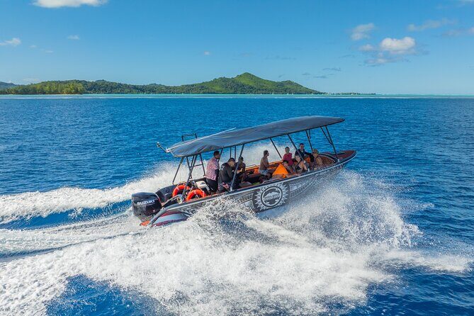 Full Day Eco Snorkeling & Traditional BBQ Lunch on a Motu - Who Is This Tour Best For?