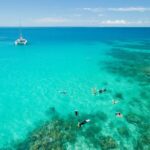 Full-Day Great Barrier Reef Sailing Trip from Cairns - Who Will Love This Tour?