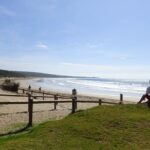 Full-Day Great Ocean Road and 12 Apostles Tour - What Makes This Tour Stand Out?