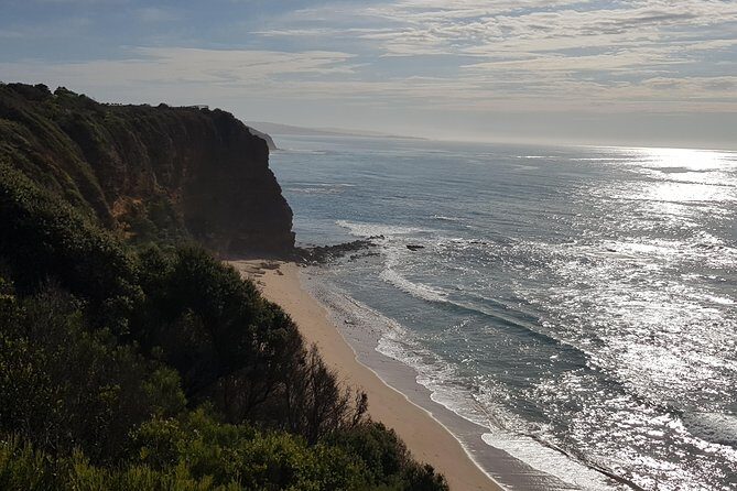 Full-Day Great Ocean Road Tour from Melbourne - The Itinerary: What to Expect at Each Stop