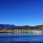 Full day Guided Sea Kayak Tour from Picton - Wildlife Encounters and Scenic Highlights