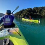 Full-Day Guided Sea Kayak Trip from Picton - Analyzing the Value
