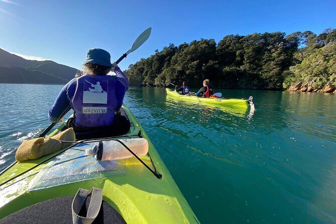 Full-Day Guided Sea Kayak Trip from Picton - Analyzing the Value
