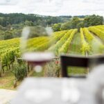 Full-Day Guided Tour on the Beautiful Mornington Peninsula. - Itinerary Breakdown: What You Can Expect