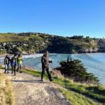 Full Day Guided Walking Tour and Picnic around Godley Head - Who Will Love This Tour?