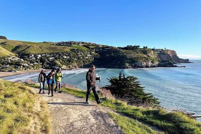 Full Day Guided Walking Tour and Picnic around Godley Head - Who Will Love This Tour?