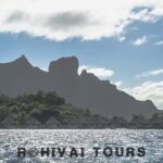 Full-day Lagoon Safari Tour with Lunch in Bora Bora - Shared tour - Overview of the Lagoon Safari Experience