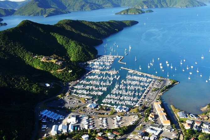 Full-Day Marlborough Scenic and Wine Tour from Blenheim - The Practicalities: What Travelers Should Know