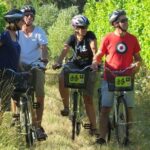 Full-Day Marlborough Wine Region Bike Hire - Who Will Love This Tour?