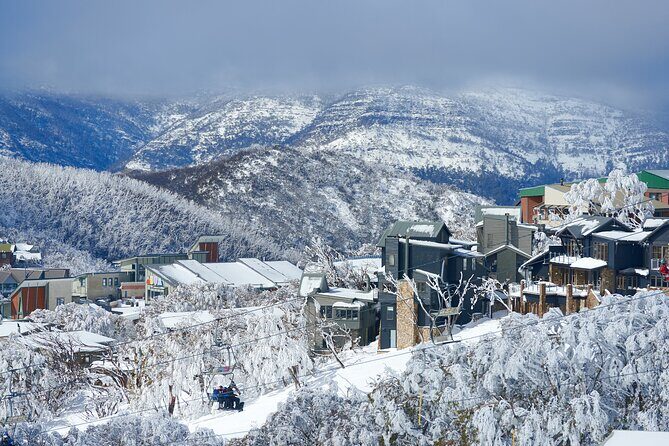 Full-Day Mount Buller Tour - Practical Details for Travelers