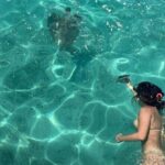 Full Day Nouméa Signal Island Turtle Tour - FAQ