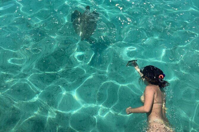 Full Day Nouméa Signal Island Turtle Tour - FAQ