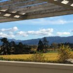 Full-Day Omaka Aviation Heritage Center and Wine Tasting Tour - Exploring The Vines Village