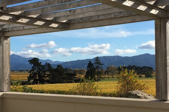 Full-Day Omaka Aviation Heritage Center and Wine Tasting Tour - Exploring The Vines Village