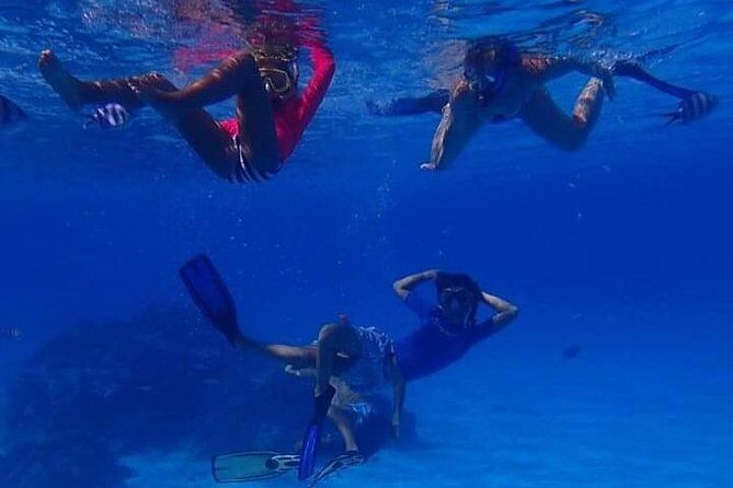 Full-Day Private Boat Tour of Bora Bora Lagoon with Snorkel - The Itinerary in Detail