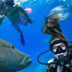 Full Day Reef Cruise and 10 Minute Helicopter Scenic Flight - Detailed Breakdown of Each Stop