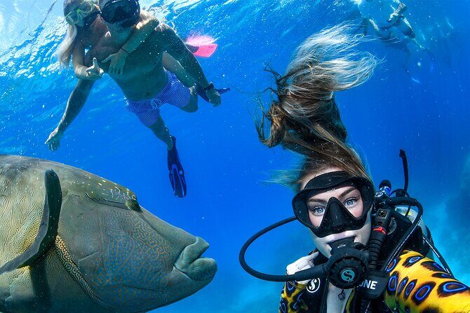 Full Day Reef Cruise and 10 Minute Helicopter Scenic Flight - Detailed Breakdown of Each Stop