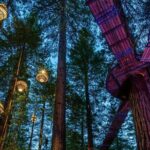 FULL DAY ROTORUA TOUR - Fully Customisable 13 hours Unlimited KMS - Detailed Tour Breakdown