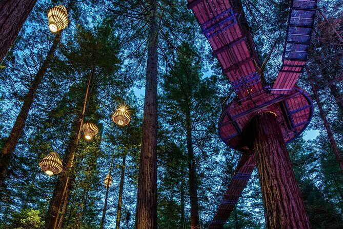 FULL DAY ROTORUA TOUR - Fully Customisable 13 hours Unlimited KMS - Detailed Tour Breakdown