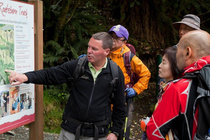 Full-Day Routeburn Track Key Summit Guided Walk from Te Anau - The Experience: What Sets It Apart?