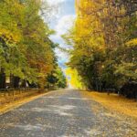 Full Day Sightseeing Tour To Discover Queenstown's Scenic Wonder - Why This Tour Offers Great Value