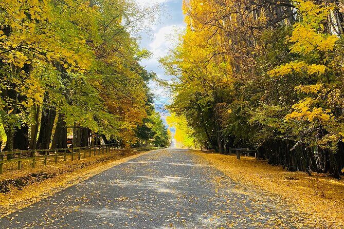 Full Day Sightseeing Tour To Discover Queenstown's Scenic Wonder - Why This Tour Offers Great Value