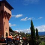 Full-Day Taste the Wines of Marlborough Tour - Authentic Experiences and Highlights