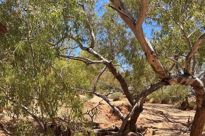 Full day The Painted Desert Tour in Outback South Australia - Exploring the Painted Desert: The Main Attraction