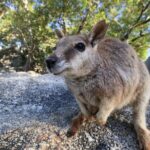 Full-day Tour at the Atherton Tablelands with Food Tasting - What Travelers Say