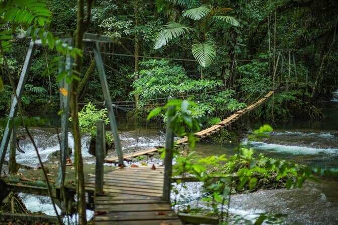 Full Day Tour Cascades Adventure, Turtles and Blue Lagoon - The Sum Up