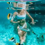 Full Day Tour : Moorea Snorkeling & Sunset Cruise on a Catamaran named Taboo - Why This Tour Stands Out