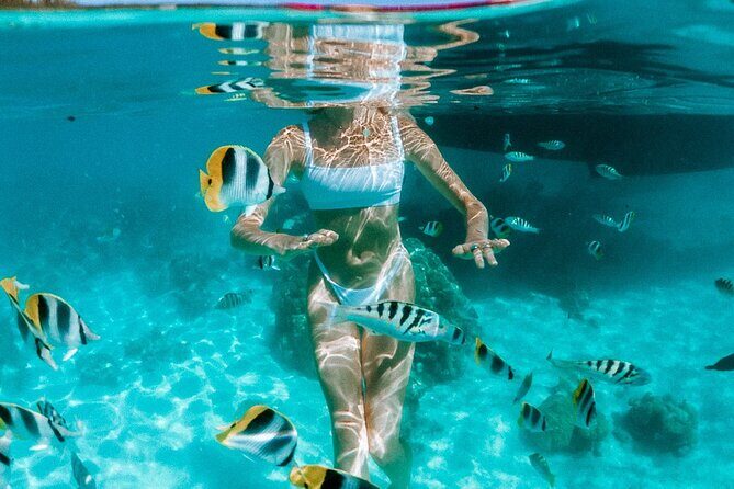 Full Day Tour : Moorea Snorkeling & Sunset Cruise on a Catamaran named Taboo - Why This Tour Stands Out