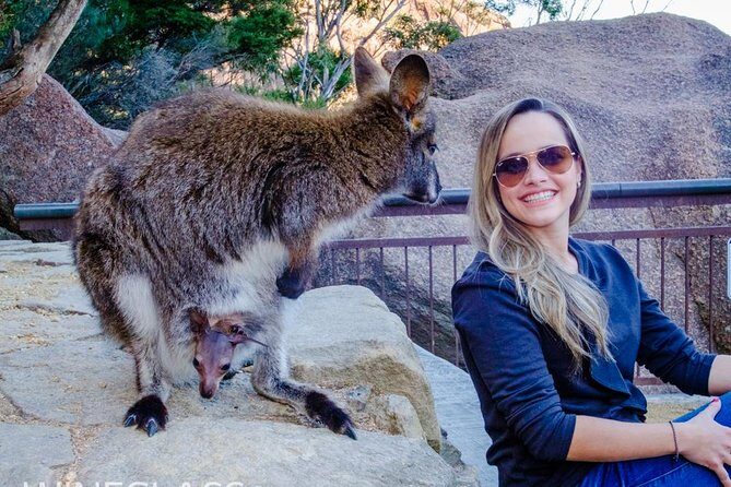 Full-Day Tour to Wineglass Bay from Hobart - The Practical Side: What’s Included & What to Consider