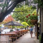 Full Day VIP Private Tour (Cruise Passengers Only) - What Travelers Say: Authentic Perspectives