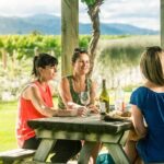 Full-Day Wine Gourmet and Scenic Delight Tour of Marlborough from Picton - Why This Tour Offers Great Value