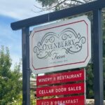 Full Day Wine Tasting Tour in McLaren Vale - The Details of the Itinerary