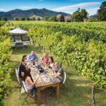 Full Day Winemakers Tour in Marlborough - Transportation & Group Size