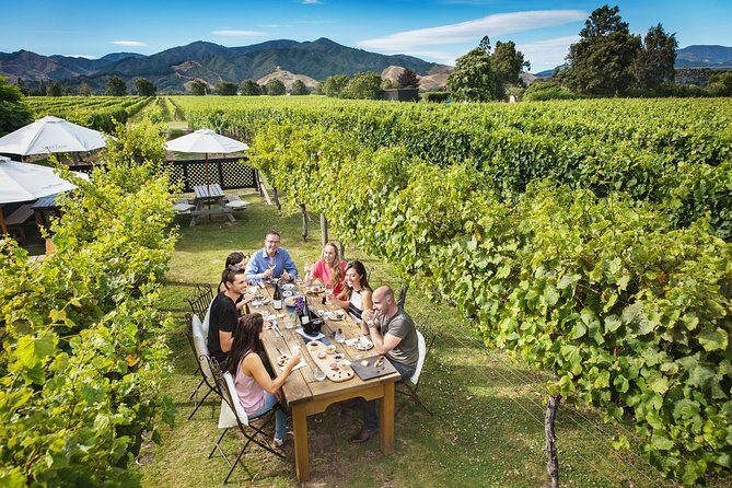 Full Day Winemakers Tour in Marlborough - Transportation & Group Size