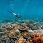 Funtastic Catamaran Cruise and Snorkel of Great Keppel Islands - An In-Depth Look at the Tour