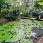 Garden of Sleeping Giant Tour with Tifajek Mud Pool and Hotspring - Exploring the Itinerary in Detail