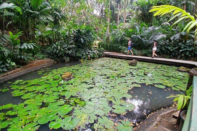Garden of Sleeping Giant Tour with Tifajek Mud Pool and Hotspring - Exploring the Itinerary in Detail