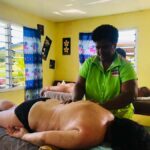 Garden of Sleeping Giant with Sabeto Hotspring Mudpool Tour - The Logistics and Practicalities