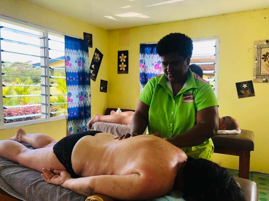 Garden of Sleeping Giant with Sabeto Hotspring Mudpool Tour - The Logistics and Practicalities