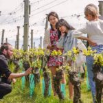 Gibbston Valley Wines - Winery Tour - Why This Tour Offers Real Value